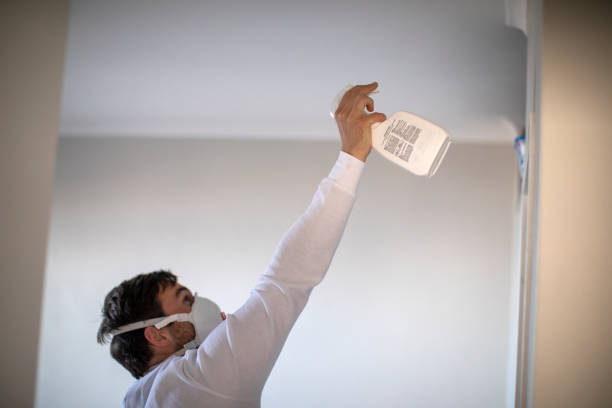 Best Office Mold Removal Services  in Pembroke, GA